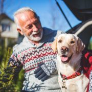 Hundeversicherung für Senioren