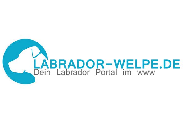 labrador-welpe